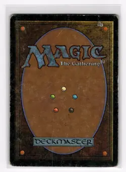 Magic The Gathering MTG Ice Age Forest (328) 328 HP - Image 2