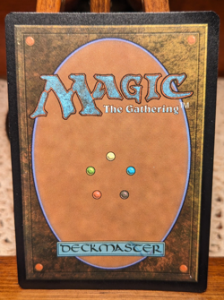 MTG Evendo, Waking Haven (Borderless) (279) -Foil *Damaged* - Edge of Eternities - Image 2