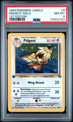 1999 Pokemon Jungle Pidgeot Holo 1st Edition PSA 8 NM-MT rare vintage english - Image 3