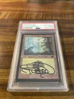 MTG✨Artist Signed GURU FOREST✨Guru Lands Promo PSA Certified RARE T. Nielsen Art - Image 5