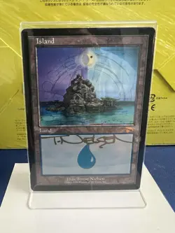 MTG Island - Guru Guru Land SIGNED by Terese Nielsen - Image 1