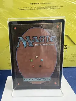 MTG Island - Guru Guru Land SIGNED by Terese Nielsen - Image 2