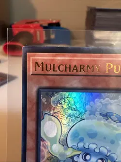 Mulcharmy Purulia MZTM-EN083 Maze of the Master 1st Edition - Image 3