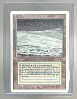 Tundra 1993 Magic: The Gathering Revised (A) - Image 1