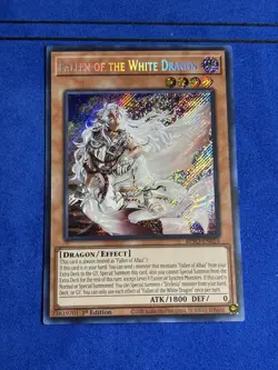 Yu-Gi-Oh! Fallen of the White Dragon Secret Rare BPRO-EN024 1st Edition - Image 1