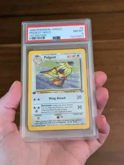 Pokemon PSA 8 Mint 1st Edition Jungle Holo Pidgeot 8/64 - Image 3