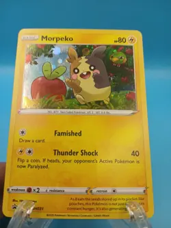 Morpeko SWSH031 - SWSH Holo Black Star Promo - Pokemon TCG - Image 2