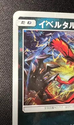 Yveltal 343/SM-P LP (Excellent) - 2019 Japanese Pokemon Card - Promo - Image 3