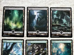 MTG Complete Set Full Art Lands NM Zendikar Rising - Image 2