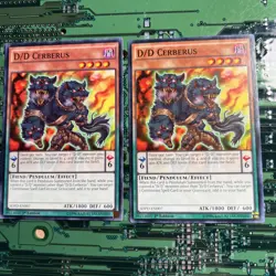 D/D Cerberus - SDPD-EN007 - Common 1st Edition Yugioh Card MP 2 - Image 1