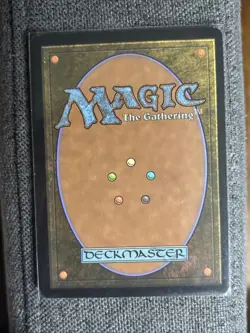 Forest (302) - JP Full Art Kamigawa: Neon Dynasty Regular - Image 2