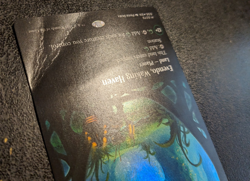 MTG Evendo, Waking Haven (Borderless) (279) -Foil *Damaged* - Edge of Eternities - Image 3