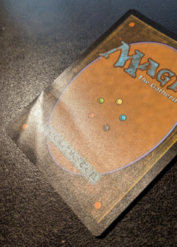 MTG Evendo, Waking Haven (Borderless) (279) -Foil *Damaged* - Edge of Eternities - Image 4