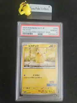 PIKACHU PSA 10 242/SV-P ILLUSTRATION CONTEST 2024 PROMO POKEMON JAPANESE - Image 1