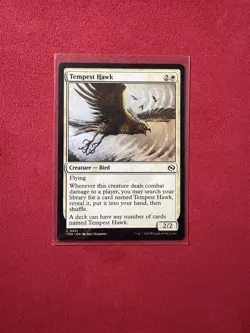 Tempest Hawk - Tarkir: Dragonstorm TDM MTG Magic the Gathering Rare #31 - Image 1