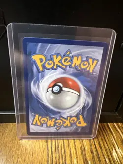 Pokemon TCG: Mightyena Ascended Heroes Illustration Rare 243/217 NM - Pack Fresh - Image 2