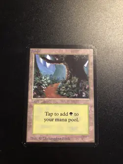 Forest (B Path) Alpha NM/ MINT Basic Land MAGIC GATHERING CARD - Image 1