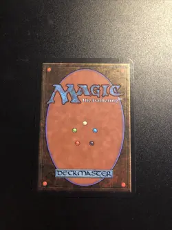 Forest (B Path) Alpha NM/ MINT Basic Land MAGIC GATHERING CARD - Image 2