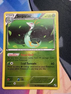 Serperior - Black & White - singles - 6/114 - Pokemon TCG - Reverse Holo - Rare - Image 1