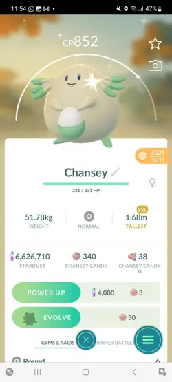 Pokemon Go Shiny Chansey ( XXL) - Image 1