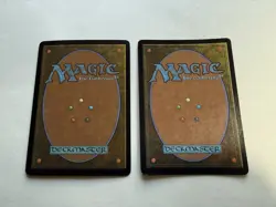 RARE MTG Cards: Sacred Bones Enchantment Shrine - Sacred Bones Records - Image 2