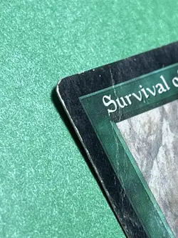 **Survival of the Fittest** [Exodus] Mtg Magic the Gathering, (HP/DMG) - Image 2