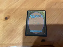 STIFLE MN TO GOOD CONDITION - Image 2