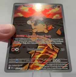 Pokemon Numel #223 + Rapidash #189 IR 2 Card Lot - Pack Fresh, Clean! - Image 4