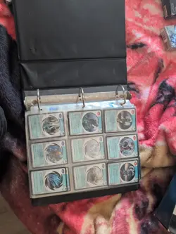 Magi Nation Ccg Lot Full Sets Of Ist And 2nd Sets. Alot Of Foils And Rare Cards - Image 3