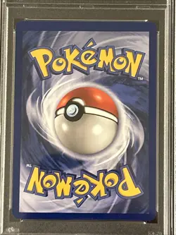 Pokemon Articuno 2/62 (1st Edition) Fossil Holo Fresh Grade *PSA 8* REGRADE! - Image 4