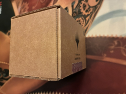 MTG Magic the Gathering Secret Lair Drop Sealed DANDAN Deck - Image 5