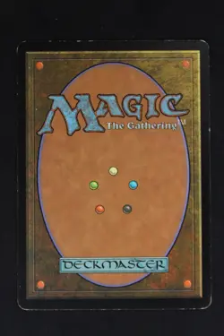 Magic: The Gathering Plains (343) Foil Land MP - 7th Edition 343 - Image 2