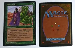 Magic the Gathering * MTG * 1 X Tinder Wall * Ice Age * HP Bend on left corner - Image 1