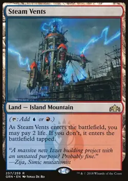 MTG Magic the Gathering Steam Vents (257/291) Guilds of Ravnica NM - Image 1