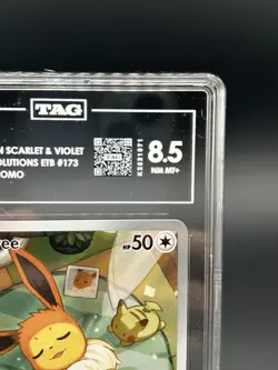 Eevee 173 SV: Scarlet & Violet Promo Cards Holo TAG 8.5 NM MT+ | CERT: K2521971 - Image 3