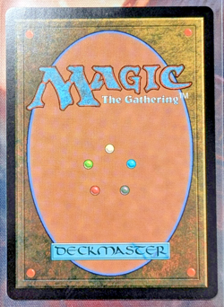 2024 MAGIC THE GATHERING BLOOMBURROW BORDERLESS #0293 LUMRA, BELLOW OF THE WOODS - Image 2