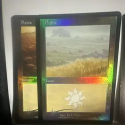 Magic: The Gathering Foil Plains Island Swamp Mountain Land Cards - Image 1