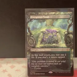 Magic: The Gathering over grown tomb borderless lorwyn eclipsed regular - Image 1