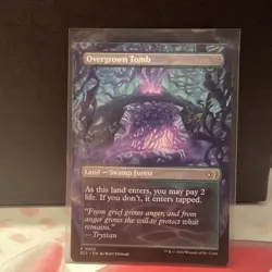 Magic: The Gathering over grown tomb borderless lorwyn eclipsed regular - Image 2