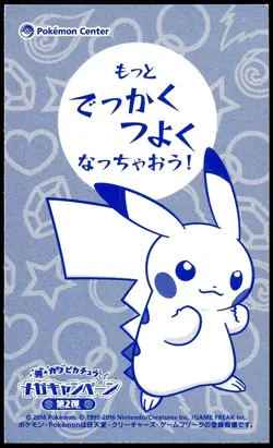 Pokemon 2016 Japanese Poncho Wearing Pikachu Business Card Charizard Y - Image 2