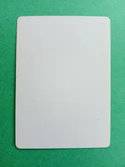 MTG Magic Clear the Land Signed Artist Proof x1 Mercadian Masques Brad Williams - Image 2