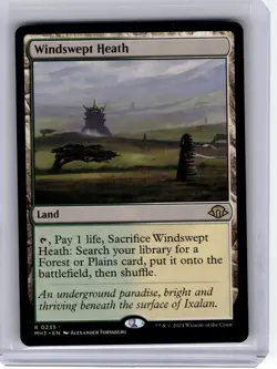 2024 Magic: The Gathering—Windswept Heath #235 Modern Horizons 3—Rare Non-Foil - Image 1