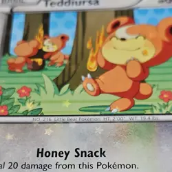Pokemon Teddiursa Radiant Collection Common Basic Holo RC15/RC25 60HP - Image 3
