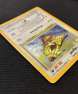 🐣1999 Pidgeot Holo 8/64 Jungle WOTC Vintage Pokemon Card HP - Image 5