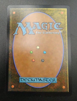 MTG Gretchen Titchwillow Forgotten Realms 340 Showcase FOIL NM/M Pack Fresh - Image 2