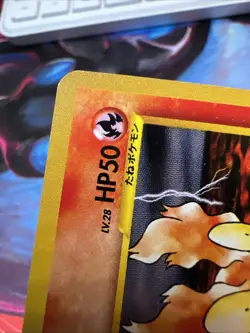 Slugma 218 Neo Destiny Old Back Japanese Pokemon TCG Vintage Card KEN SUGIMORI - Image 5