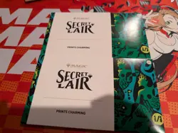 MTG Secret Lair Prints Charming NON-FOIL x1 - Image 5