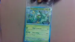 Sealed Pokemon TCG Mega Evolution Perfect Order STAFF Promo 4 Card Pack IN HAND - Image 1