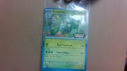 Sealed Pokemon TCG Mega Evolution Perfect Order STAFF Promo 4 Card Pack IN HAND - Image 3