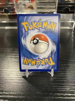 Poochyena GG33/GG70 Crown Zenith: Galarian Gallery Holo Near Mint Pokemon TCG - Image 2